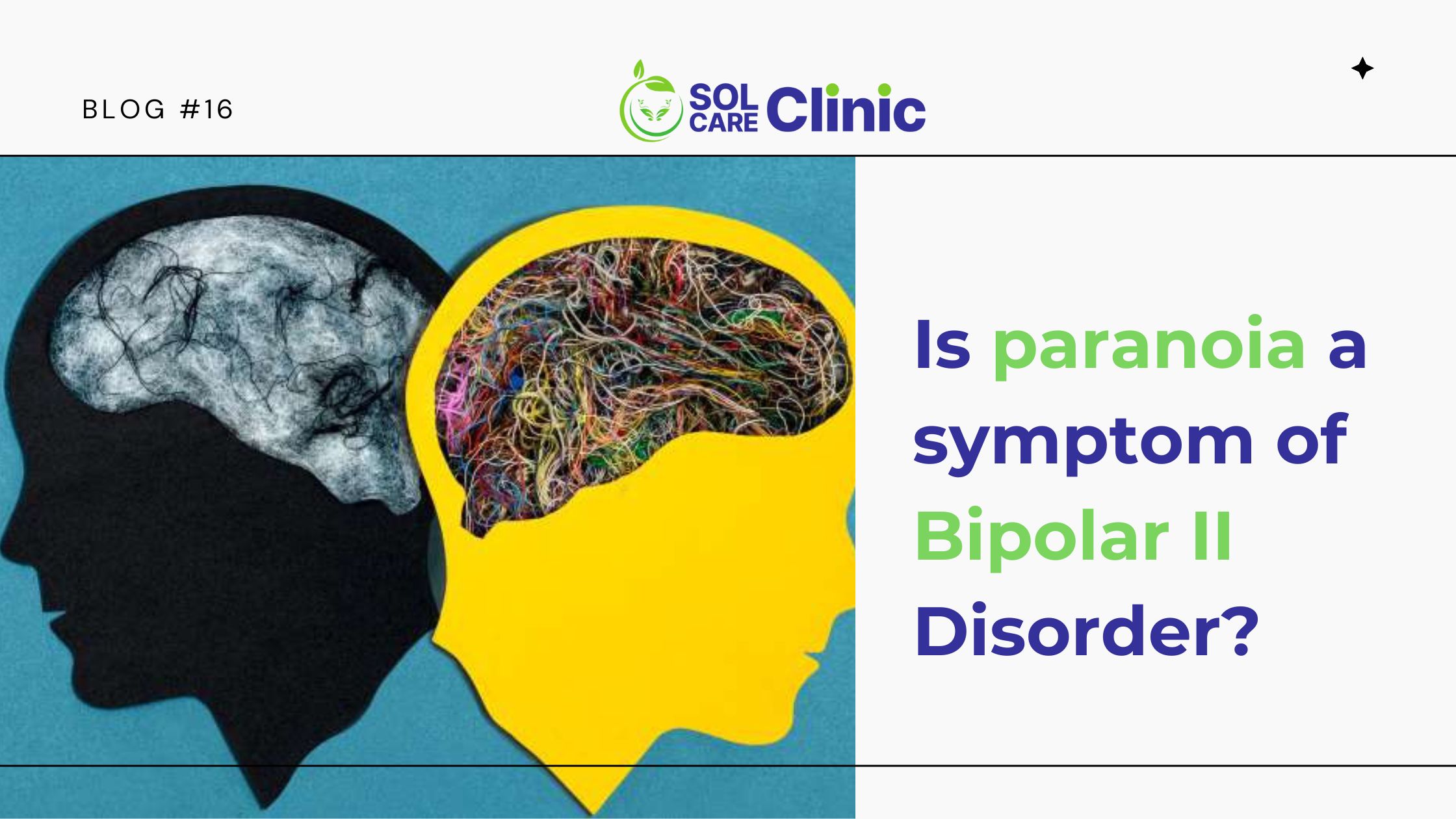 Is paranoia a symptom of Bipolar II Disorder-cover image