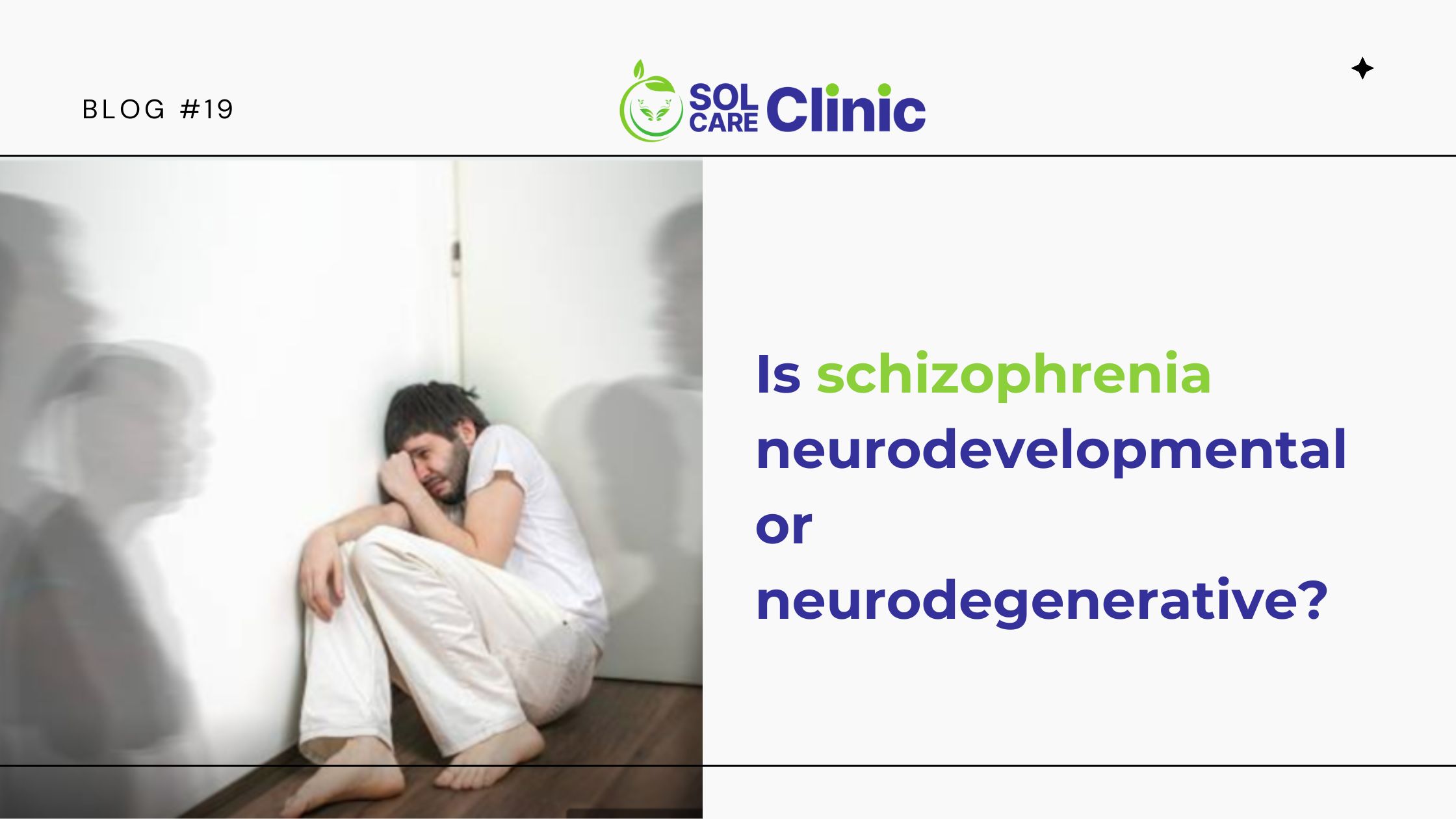 Is schizophrenia neurodevelopmental or neurodegenerative-cover image