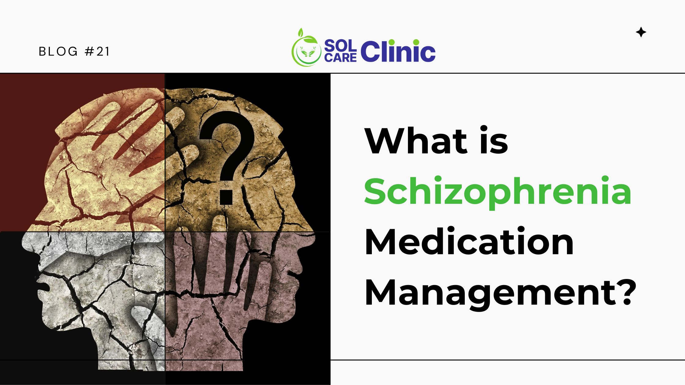 What is Schizophrenia Medication Management cover image